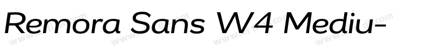 Remora Sans W4 Mediu字体转换